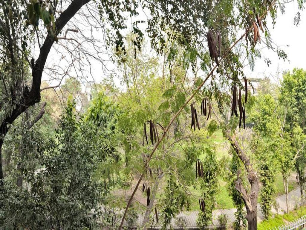Bed and Breakfast Haveli Hauz Khas Нью-Дели Номер фото